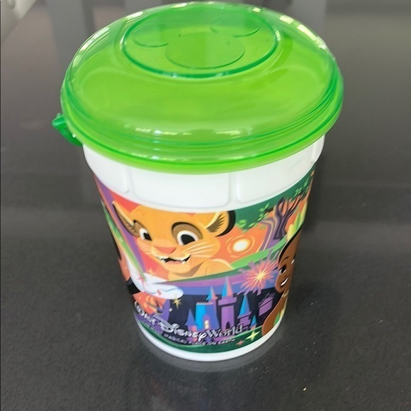Disney Other - Disney Walt Disney World Popcorn Bucket